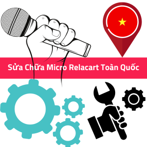 Sua chua micro Relacart toan quoc 1