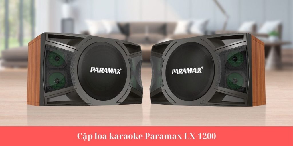 Cặp loa karaoke Paramax LX-1200