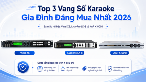 Top 3 Vang Số Karaoke Gia Đình Đáng Mua Nhất 2026