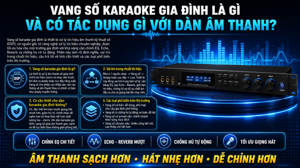 Gợi Ý Vang Số Karaoke Gia Đình Đáng Mua Nhất 2026: Vinal X5, Luck-Pro LK-8 Hay AAP K1000II? 1 Vang So Karaoke Gia Dinh Gom Nhung Loai Nao Pho Bien Tren Thi Truong Hien Nay