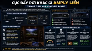 Cục Đẩy Rời Khác Gì Amply Liền Trong Dàn Karaoke Gia Đình