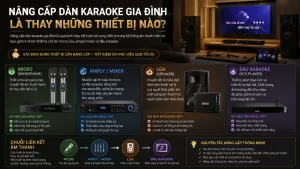Nâng Cấp Dàn Karaoke Gia Đình Là Thay Những Thiết Bị Nào