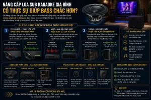 Nâng cấp loa sub karaoke gia đình có thực sự giúp bass chắc hơn không