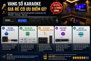 Vang Số Karaoke Giá Rẻ Có Ưu Điểm Gì?