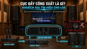 Cục Đẩy Công Suất Là Gì Và Vai Trò Trong Dàn Âm Thanh Karaoke Kinh Doanh?